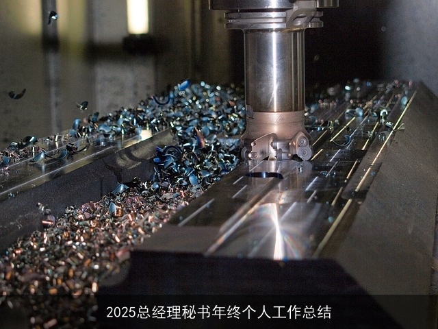 2025总经理秘书年终个人工作总结