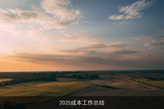 2025成本工作总结