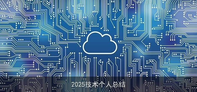 2025技术个人总结