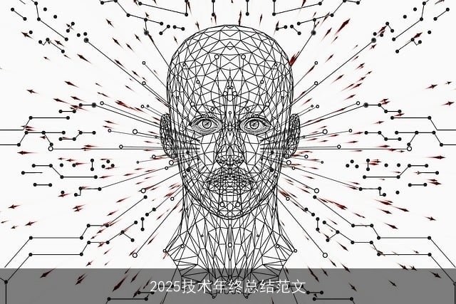 2025技术年终总结范文
