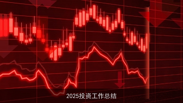 2025投资工作总结