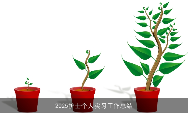 2025护士个人实习工作总结