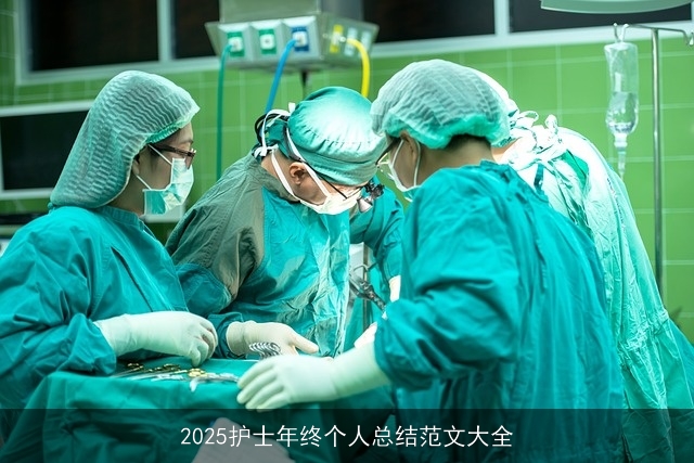 2025护士年终个人总结范文大全