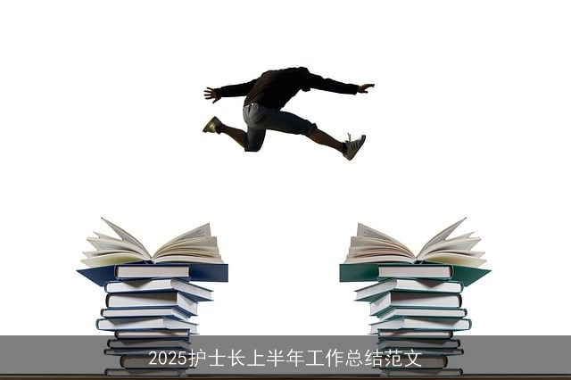 2025护士长上半年工作总结范文