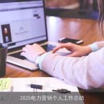 2025电力营销个人工作总结