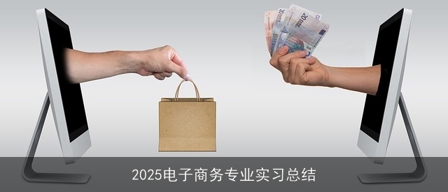 2025电子商务专业实习总结