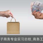 2025电子商务专业实习总结_商务工作总结
