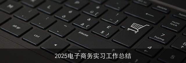 2025电子商务实习工作总结