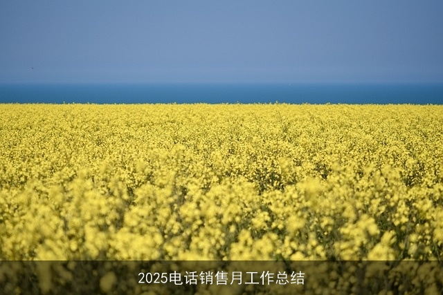 2025电话销售月工作总结