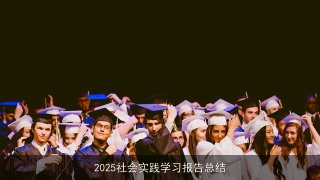 2025社会实践学习报告总结