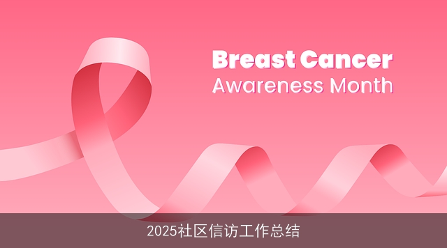 2025社区信访工作总结