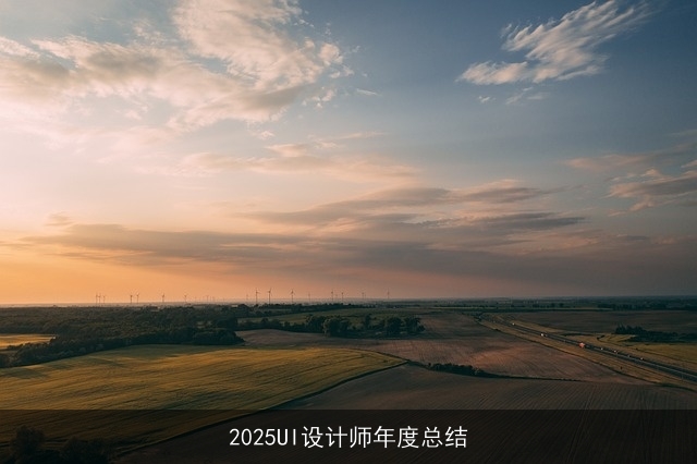2025UI设计师年度总结