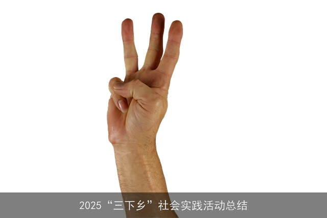 2025“三下乡”社会实践活动总结