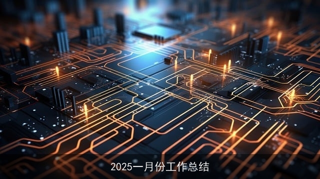2025一月份工作总结