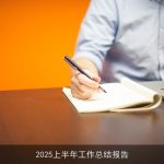 2025上半年工作总结报告