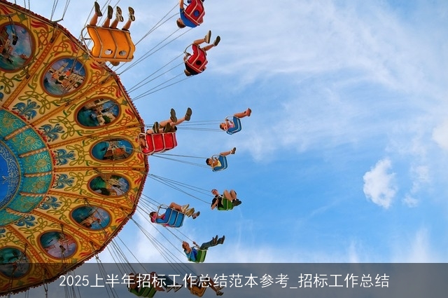 2025上半年招标工作总结范本参考_招标工作总结