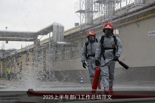 2025上半年部门工作总结范文