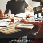 2025专业技术工作总结