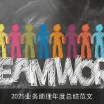 2025业务助理年度总结范文