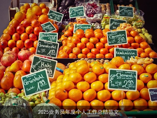 2025业务员年度个人工作总结范文