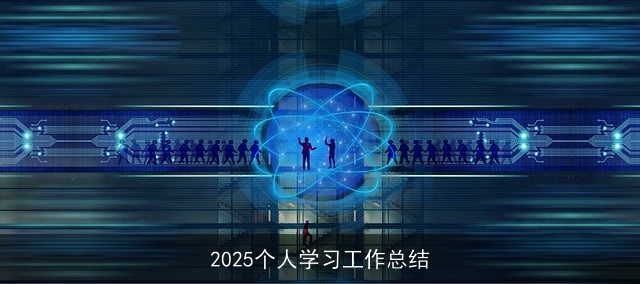 2025个人学习工作总结