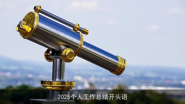 2025个人工作总结开头语