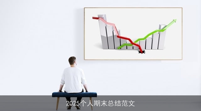 2025个人期末总结范文