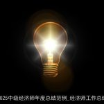 2025中级经济师年度总结范例_经济师工作总结