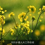2025乡镇人大工作总结