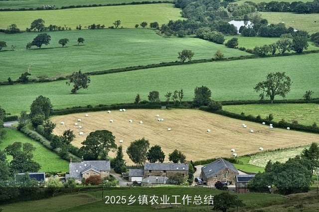 2025乡镇农业工作总结