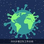 2025乡镇卫生工作总结