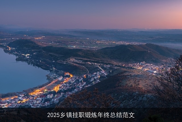 2025乡镇挂职锻炼年终总结范文