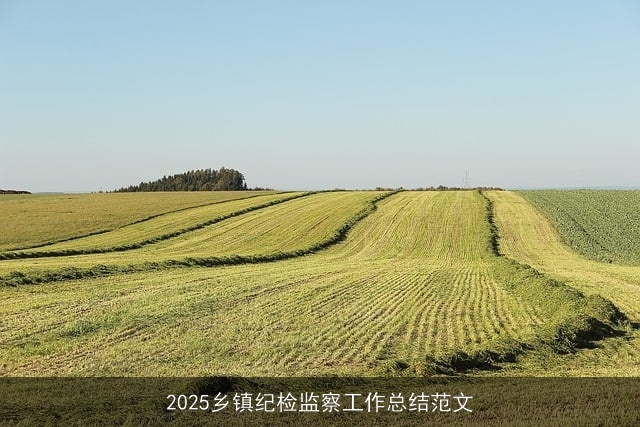 2025乡镇纪检监察工作总结范文