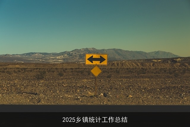 2025乡镇统计工作总结