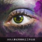 2025人事试用期转正工作总结