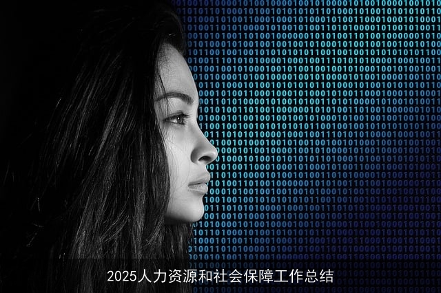 2025人力资源和社会保障工作总结