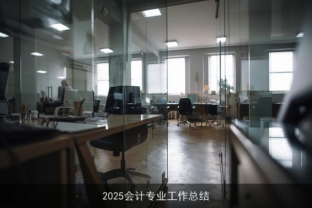 2025会计专业工作总结