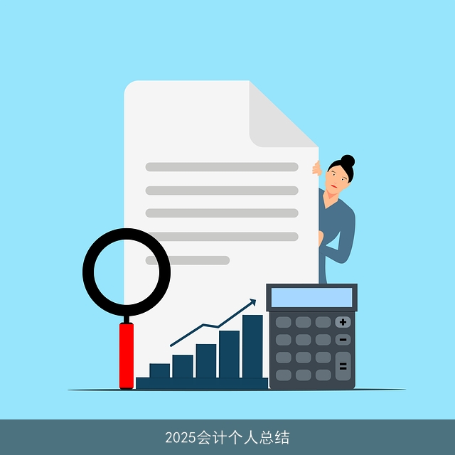 2025会计个人总结