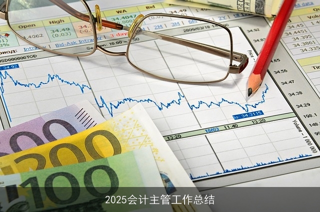 2025会计主管工作总结