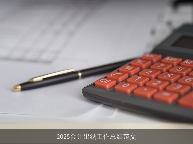 2025会计出纳工作总结范文