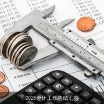 2025会计工作总结汇报