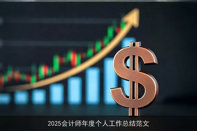 2025会计师年度个人工作总结范文