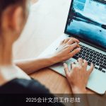 2025会计文员工作总结