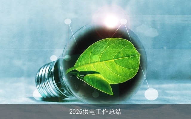 2025供电工作总结