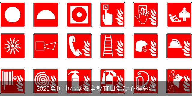 2025全国中小学安全教育日活动心得总结
