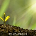 2025出纳工作总结范文