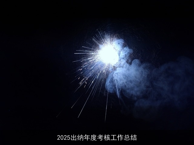 2025出纳年度考核工作总结