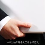 2025出纳年终个人工作总结范文
