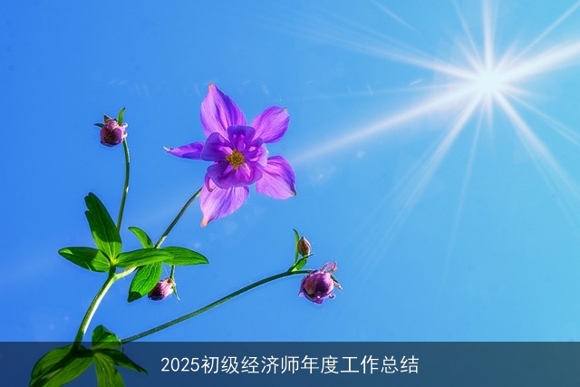 2025初级经济师年度工作总结