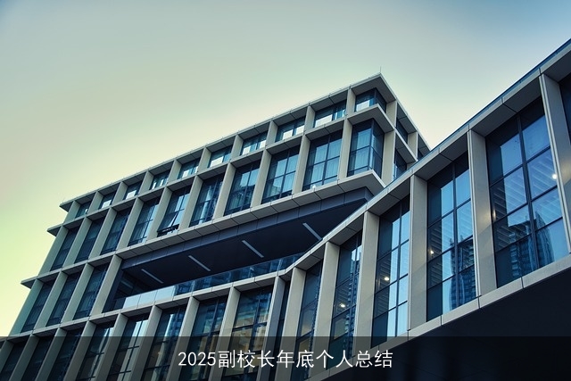 2025副校长年底个人总结